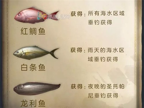 明日之后新增鱼类怎在哪钓 刷新位置介绍