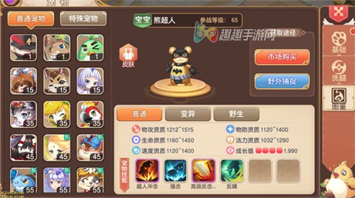 驯龙物语宠物属性大全 宠物寿命有什么作用