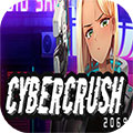 cyber crush 2069