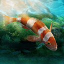 水族设计师手机版