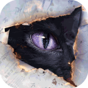  Black Cat News Agency