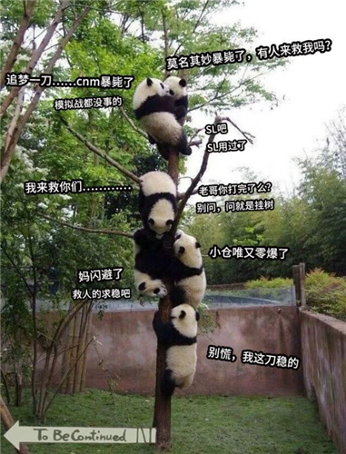 公主连结挂树图片 熊猫表情包合集