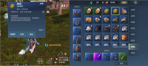 妄想山海猲狙在哪 教你找到黑狼具体位置