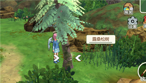 小森生活露桑松树几分钟刷一次 多久刷新几点前有
