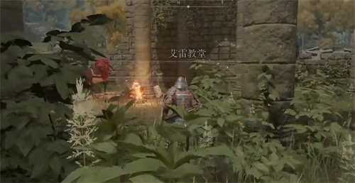 艾尔登法环怎么联机 多人联机方法详解