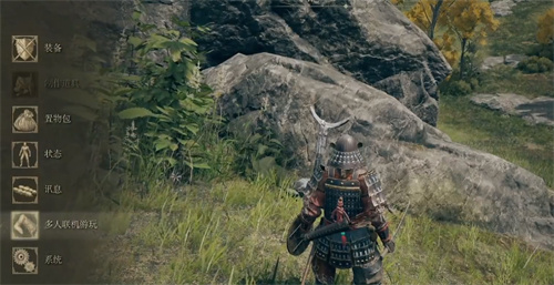 艾尔登法环怎么联机 多人联机方法详解