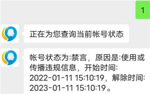 2022王者榮耀禁言怎麼看解除時間 禁言時間在哪裡看 - 第3張
