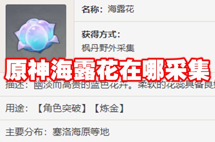 原神海露花在哪採集 - 第1張