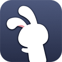  Rabbit assistant lightweight version