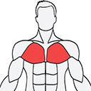 musclewiki下载 musclewiki（V1.6.3）纯净版